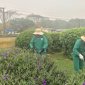 Công ty CP Môi trường và Công trình đô thị Bỉm Sơn thi đua làm theo lời Bác